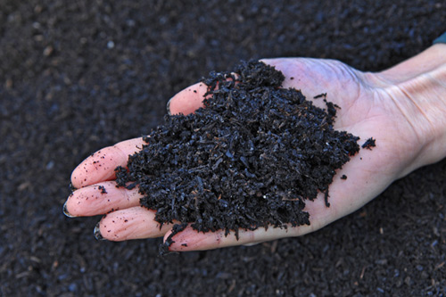 compost
