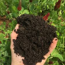 compost